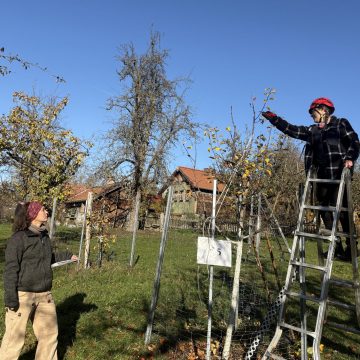 Ausbildung als Streuobstfachwirtin (2025)