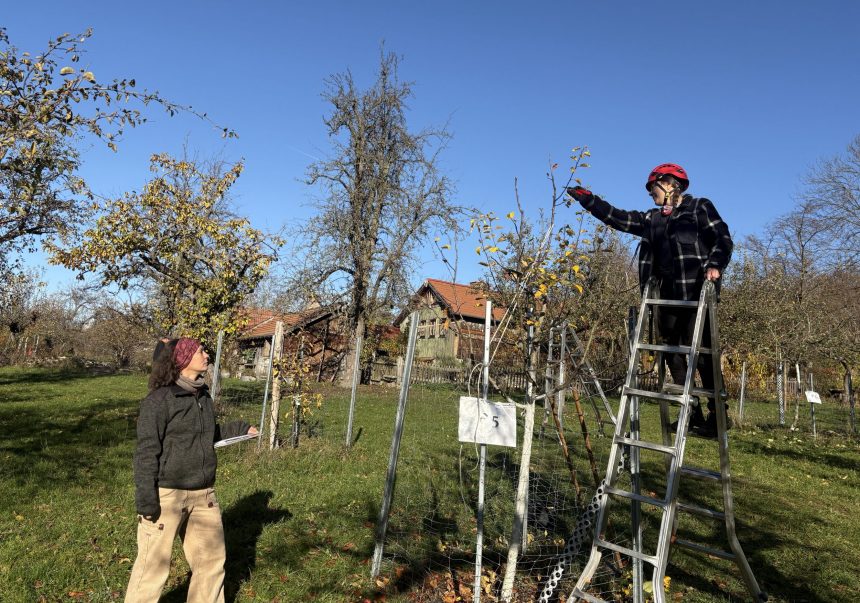 IMG_6299 Ausbildung als Streuobstfachwirtin (2025)