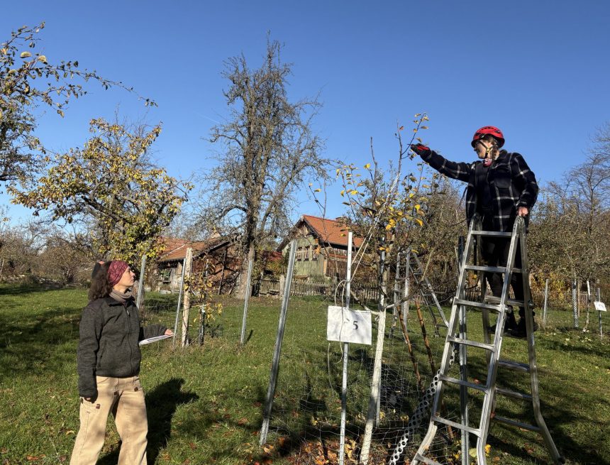 Ausbildung als Streuobstfachwirtin (2025)