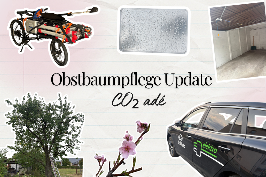 Sommer 2026 Update vom Obstbaumgewerbe